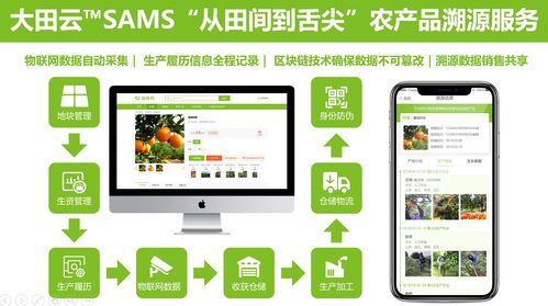 大田智慧農業投資1.28億元數字化服務，構筑農產品安全生產新生態